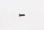 Kies-Motorsports Wilwood Wilwood bolt 5/16-18X1.00 LG bhcs stainless torx