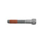 Kies-Motorsports Wilwood Wilwood bolt 5/16-18X2.00 LG shcs alloy WES072 CL1 silver epoxy 1193-S asme B18.3