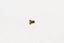 Kies-Motorsports Wilwood Wilwood bolt 5/16-24X.50 LG hhcs GR8 gold zinc asme B18.2.1