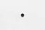 Kies-Motorsports Wilwood Wilwood nut 5/16-24 clinch